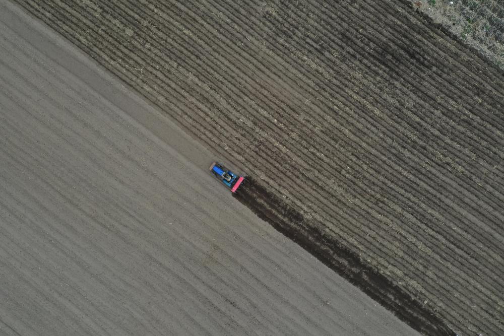 吉林省安圖縣龍山村農(nóng)民在田間播種玉米（5月8日無人機拍攝）。新華社記者　林宏　攝